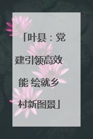 叶县：党建引领高效能 绘就乡村新图景