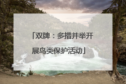 双牌：多措并举开展鸟类保护活动
