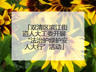 双清区滨江街道人大工委开展“法治护绿护安人大行”活动