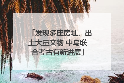 发现多座房址、出土大量文物 中乌联合考古有新进展