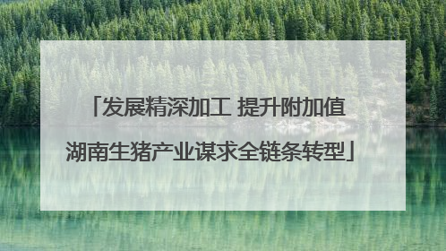 发展精深加工 提升附加值 湖南生猪产业谋求全链条转型