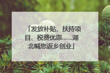 发放补贴、扶持项目、税费优惠……湖北喊您返乡创业