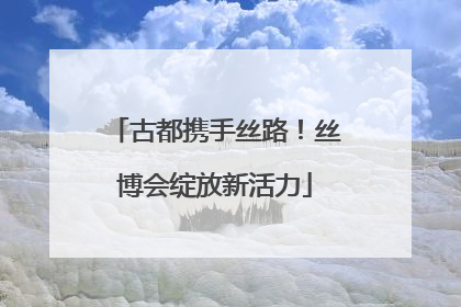 古都携手丝路！丝博会绽放新活力