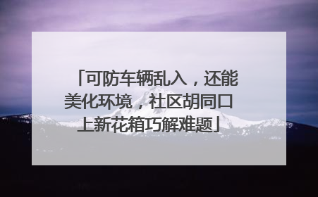 可防车辆乱入，还能美化环境，社区胡同口上新花箱巧解难题