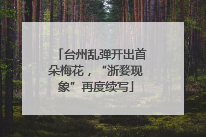 台州乱弹开出首朵梅花，“浙婺现象”再度续写