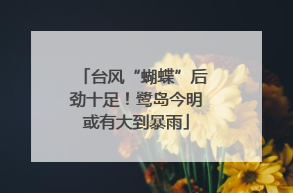 台风“蝴蝶”后劲十足！鹭岛今明或有大到暴雨