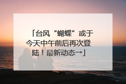 台风“蝴蝶”或于今天中午前后再次登陆！最新动态→
