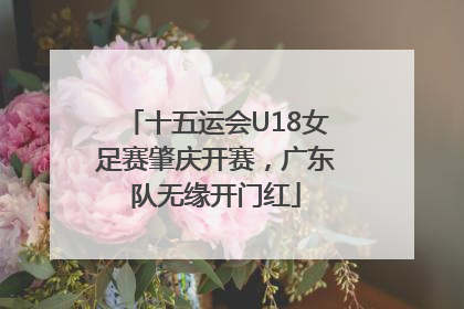十五运会U18女足赛肇庆开赛，广东队无缘开门红