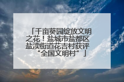 千亩葵园绽放文明之花！盐城市盐都区盐渎街道花吉村获评“全国文明村”