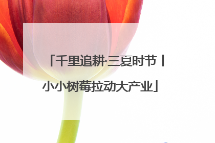 千里追耕·三夏时节丨小小树莓拉动大产业