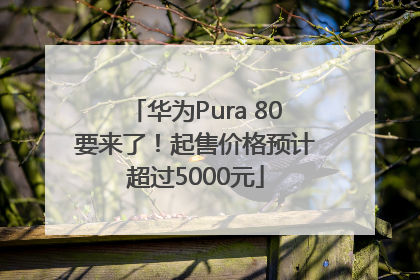华为Pura 80要来了！起售价格预计超过5000元