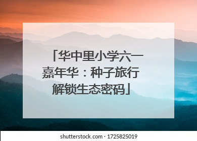 华中里小学六一嘉年华：种子旅行解锁生态密码