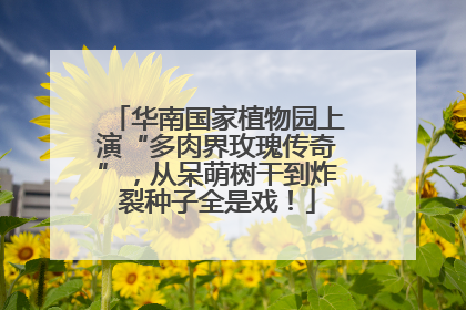 华南国家植物园上演“多肉界玫瑰传奇”，从呆萌树干到炸裂种子全是戏！