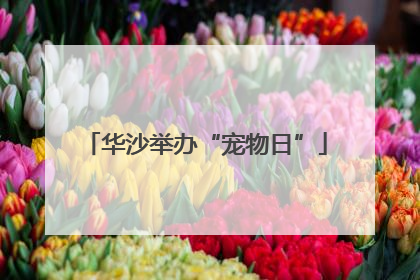 华沙举办“宠物日”