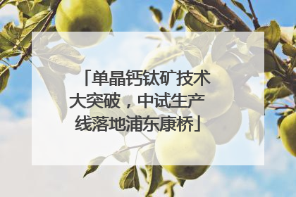 单晶钙钛矿技术大突破，中试生产线落地浦东康桥