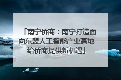 南宁侨商：南宁打造面向东盟人工智能产业高地给侨商提供新机遇