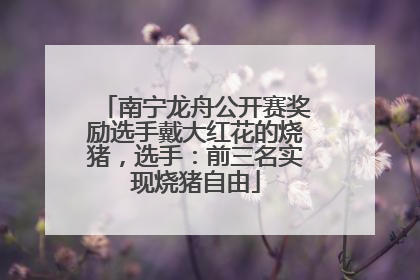 南宁龙舟公开赛奖励选手戴大红花的烧猪，选手：前三名实现烧猪自由