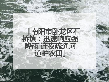 南阳市卧龙区石桥镇：迅速响应强降雨 连夜疏通河道护农田
