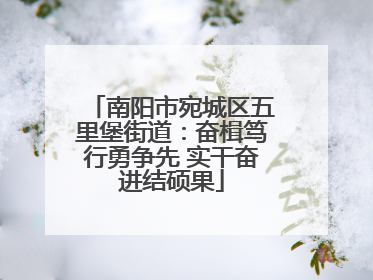 南阳市宛城区五里堡街道：奋楫笃行勇争先 实干奋进结硕果