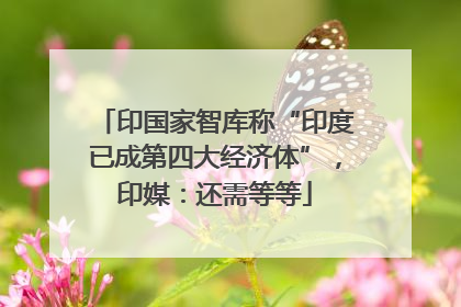 印国家智库称“印度已成第四大经济体”，印媒：还需等等