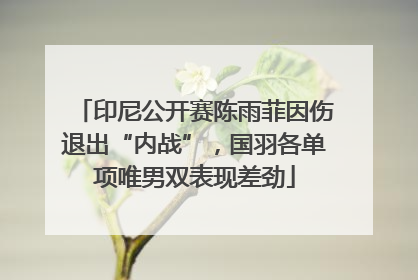 印尼公开赛陈雨菲因伤退出“内战”，国羽各单项唯男双表现差劲
