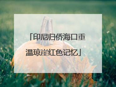 印尼归侨海口重温琼崖红色记忆