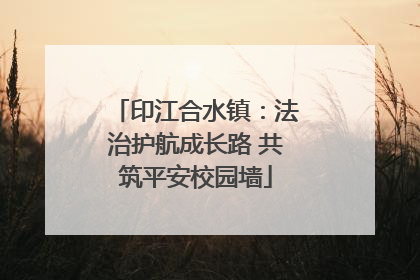 印江合水镇：法治护航成长路 共筑平安校园墙