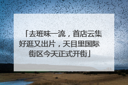 去班味一流，首店云集好逛又出片，天目里国际街区今天正式开街