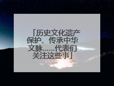 历史文化遗产保护、传承中华文脉……代表们关注这些事