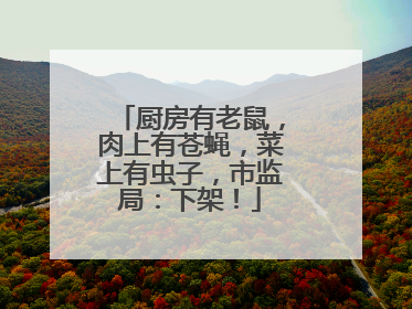 厨房有老鼠，肉上有苍蝇，菜上有虫子，市监局：下架！
