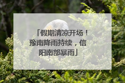 假期清凉开场！豫南降雨持续，信阳南部暴雨