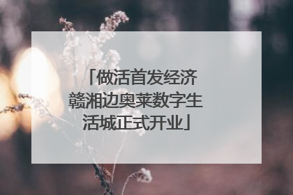 做活首发经济 赣湘边奥莱数字生活城正式开业