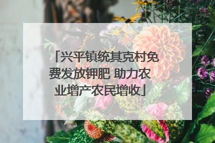 兴平镇统其克村免费发放钾肥 助力农业增产农民增收