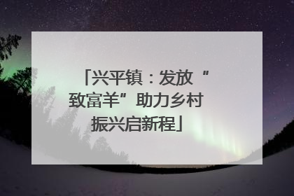 兴平镇：发放“致富羊”助力乡村振兴启新程