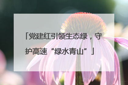 党建红引领生态绿，守护高速“绿水青山”