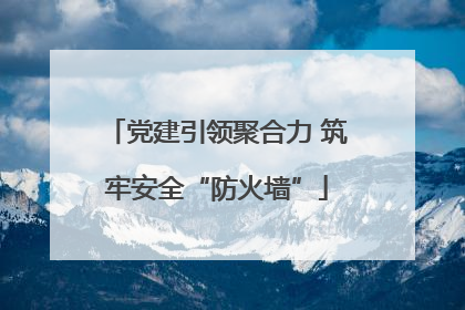 党建引领聚合力 筑牢安全“防火墙”