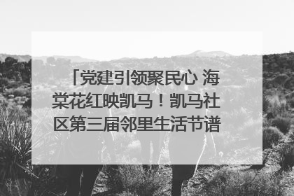 党建引领聚民心 海棠花红映凯马！凯马社区第三届邻里生活节谱写幸福新篇章
