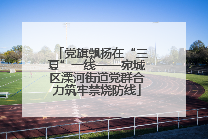 党旗飘扬在“三夏”一线——宛城区溧河街道党群合力筑牢禁烧防线