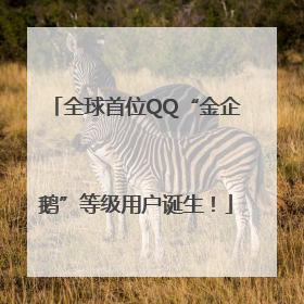 全球首位QQ“金企鹅”等级用户诞生！