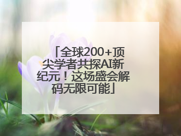 全球200+顶尖学者共探AI新纪元！这场盛会解码无限可能