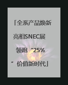 全系产品焕新亮相SNEC展 领跑“25%”价值新时代