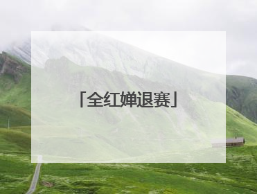 全红婵退赛
