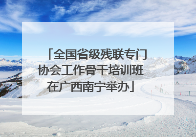 全国省级残联专门协会工作骨干培训班在广西南宁举办