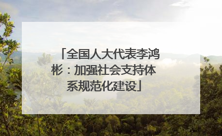 全国人大代表李鸿彬：加强社会支持体系规范化建设
