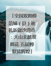 全国双拥模范城（县）巡礼新疆沙湾市：天山北麓双拥花 五届蝉联铸辉煌