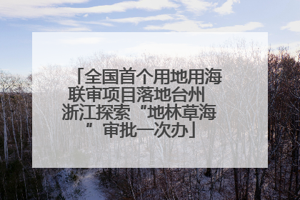 全国首个用地用海联审项目落地台州 浙江探索“地林草海”审批一次办