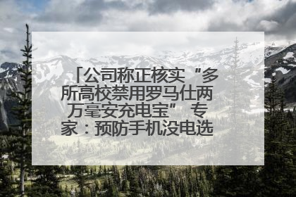 公司称正核实“多所高校禁用罗马仕两万毫安充电宝” 专家：预防手机没电选中等体积产品即可