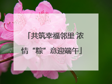 共筑幸福邻里 浓情“粽”意迎端午
