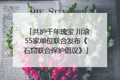 共护千年瑰宝 川渝55家单位联合发布《石窟联合保护倡议》