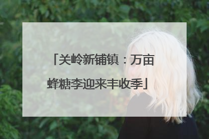 关岭新铺镇：万亩蜂糖李迎来丰收季